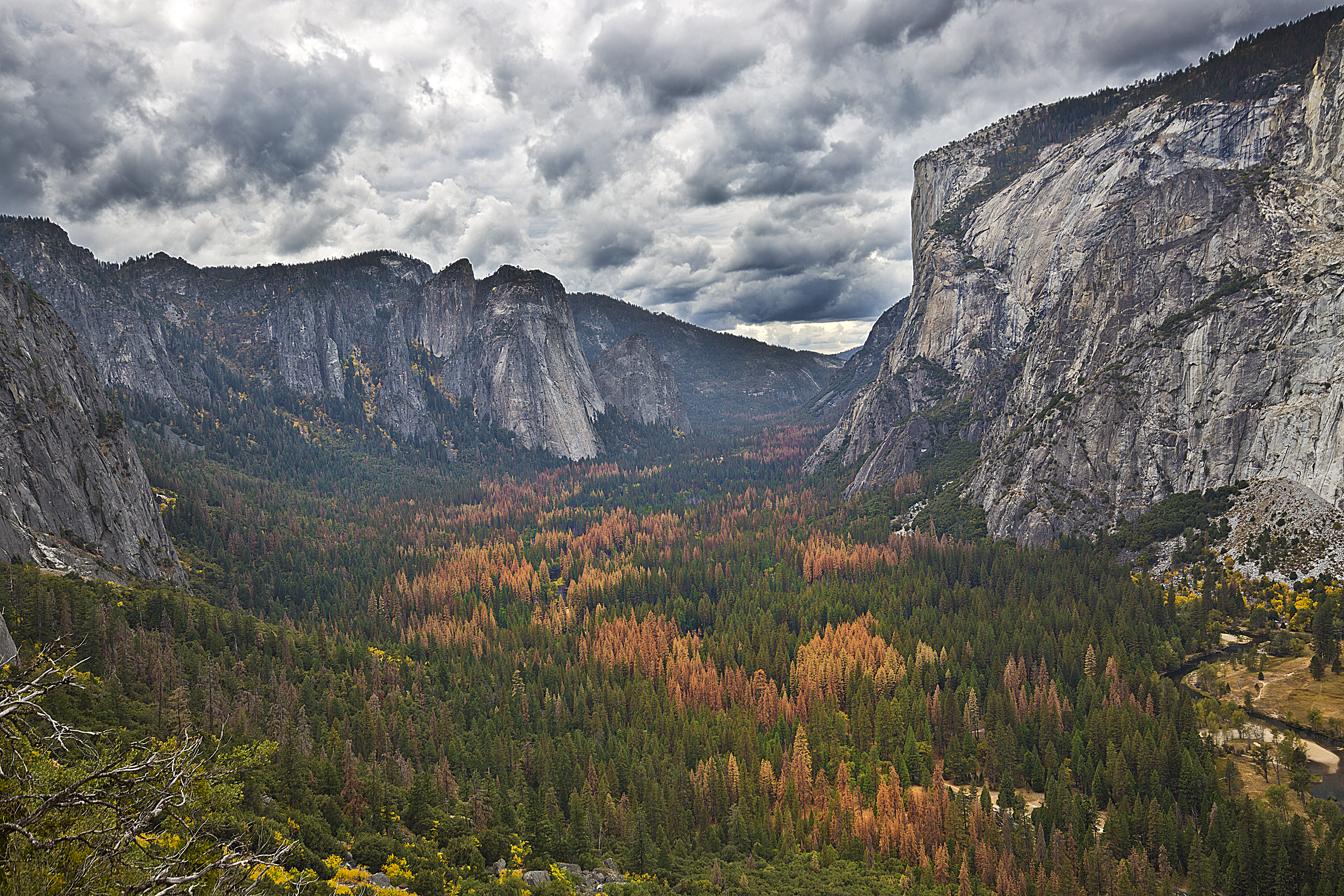 he Epic Yosemite Valley in Fall colors before the Storm rolled in.   Taken from the “4-Mile Trail”