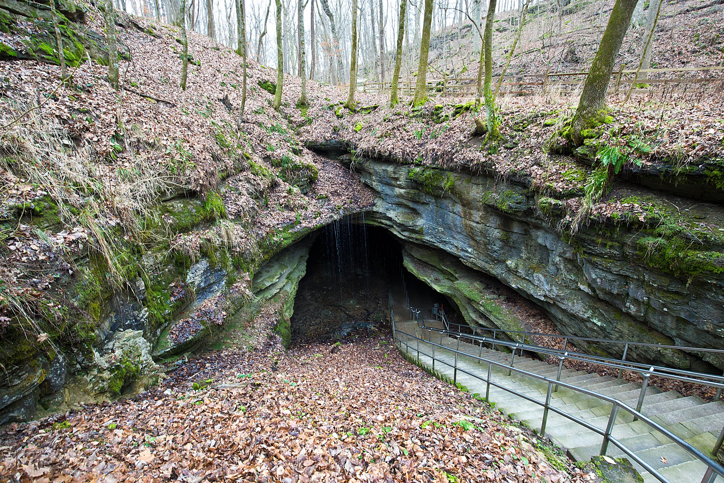 A Natural entrance to Mammoth Cave