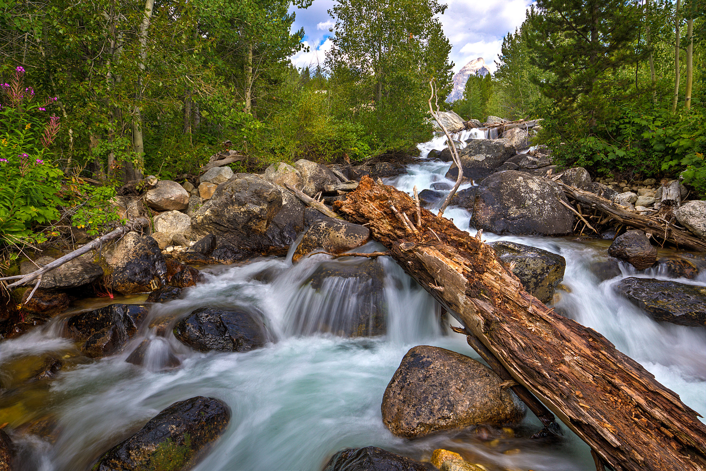 A River roars under the trail near Taggart Lake, Grand Teton National Park