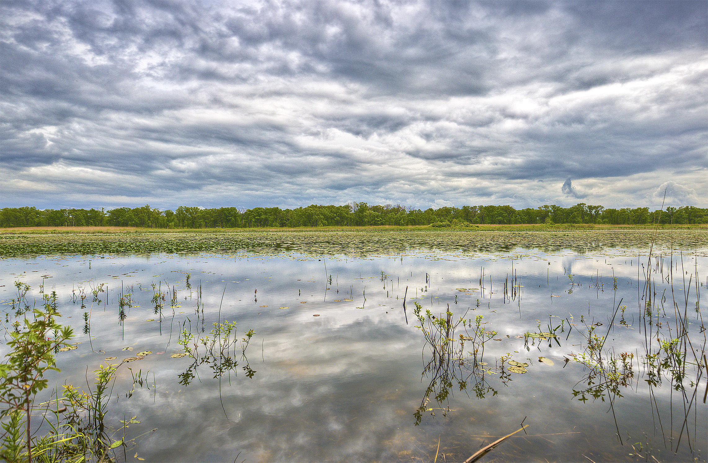 Long Lake Indiana Dunes National Park