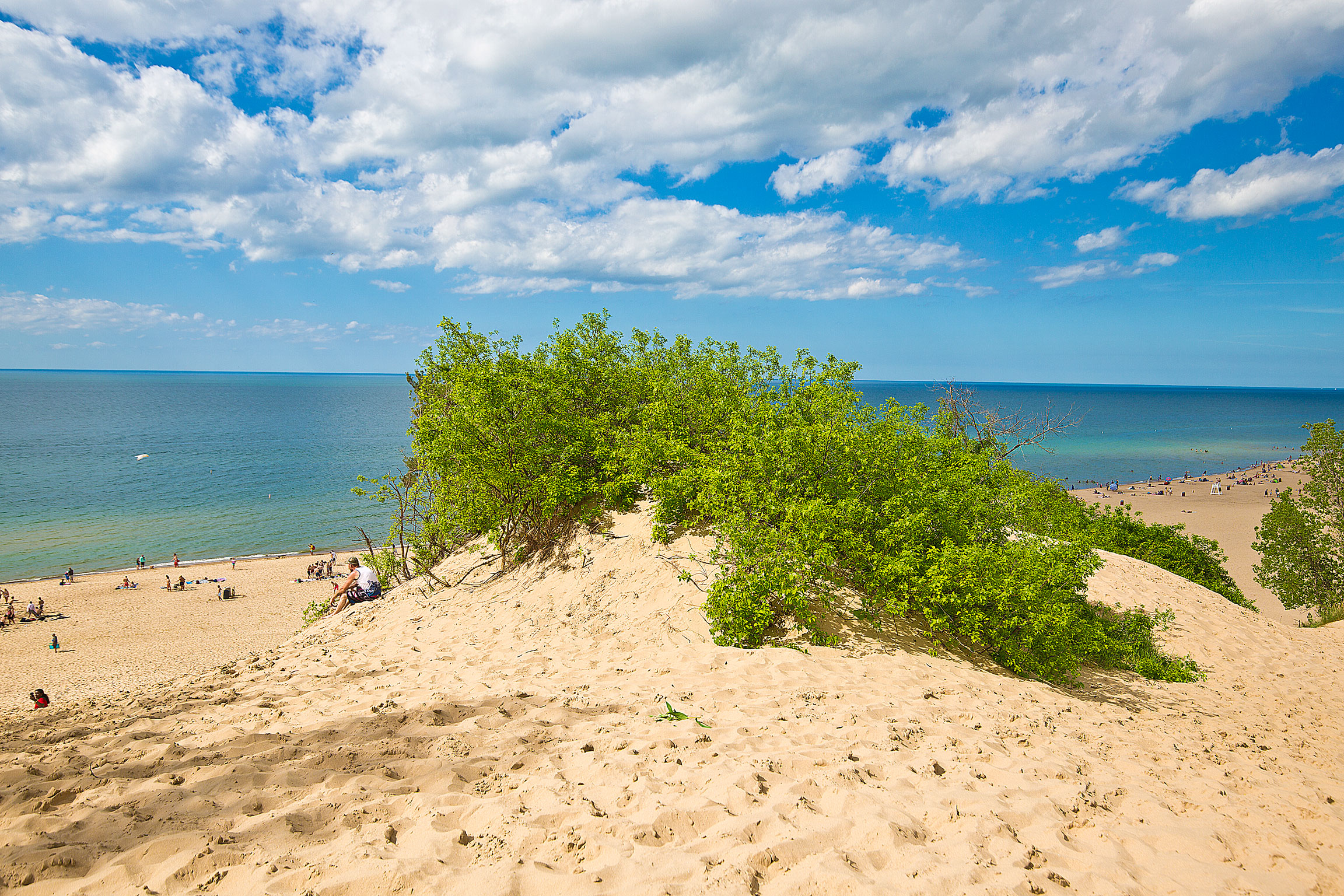 Dune in Indiana Dunes State Park
