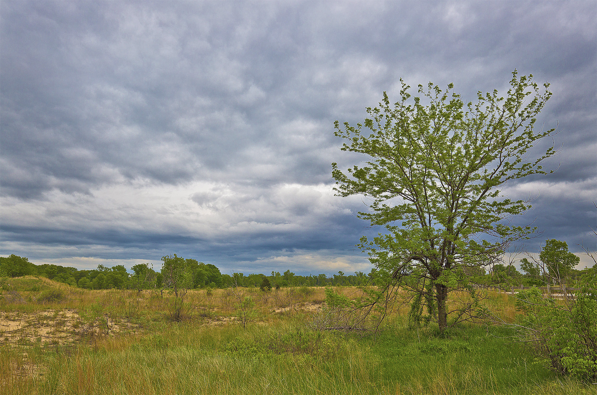 A Storm is coming in Indiana Dunes National Park