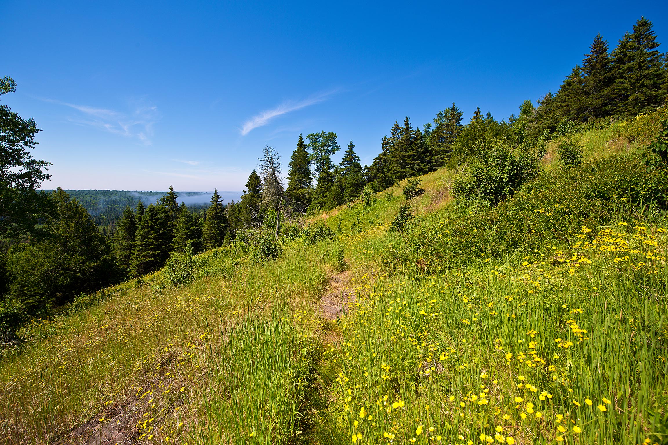 Hiking in Isle Royale National Park