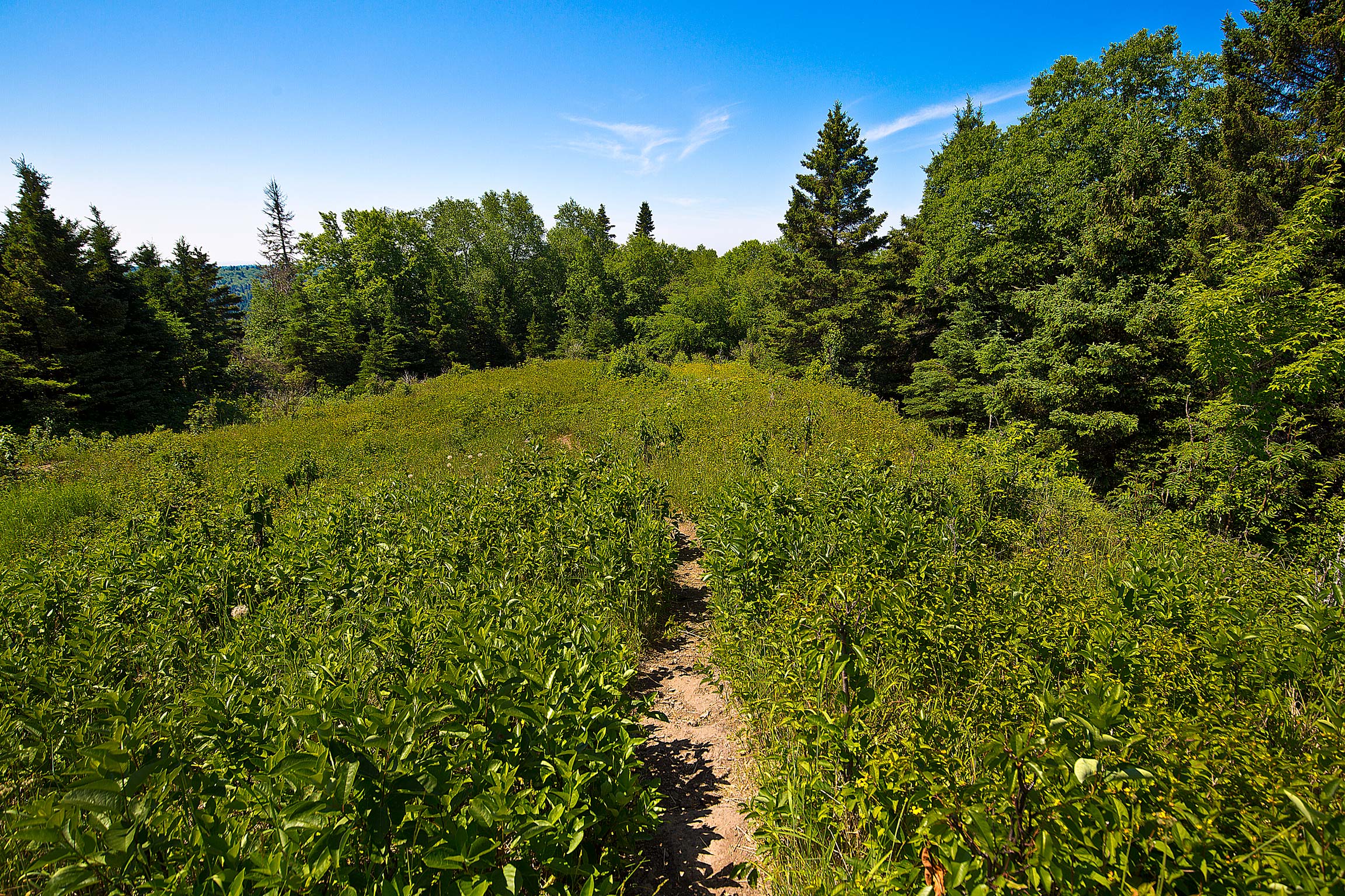 Hiking on the Feldman Lake Trail in Isle Royale National Park