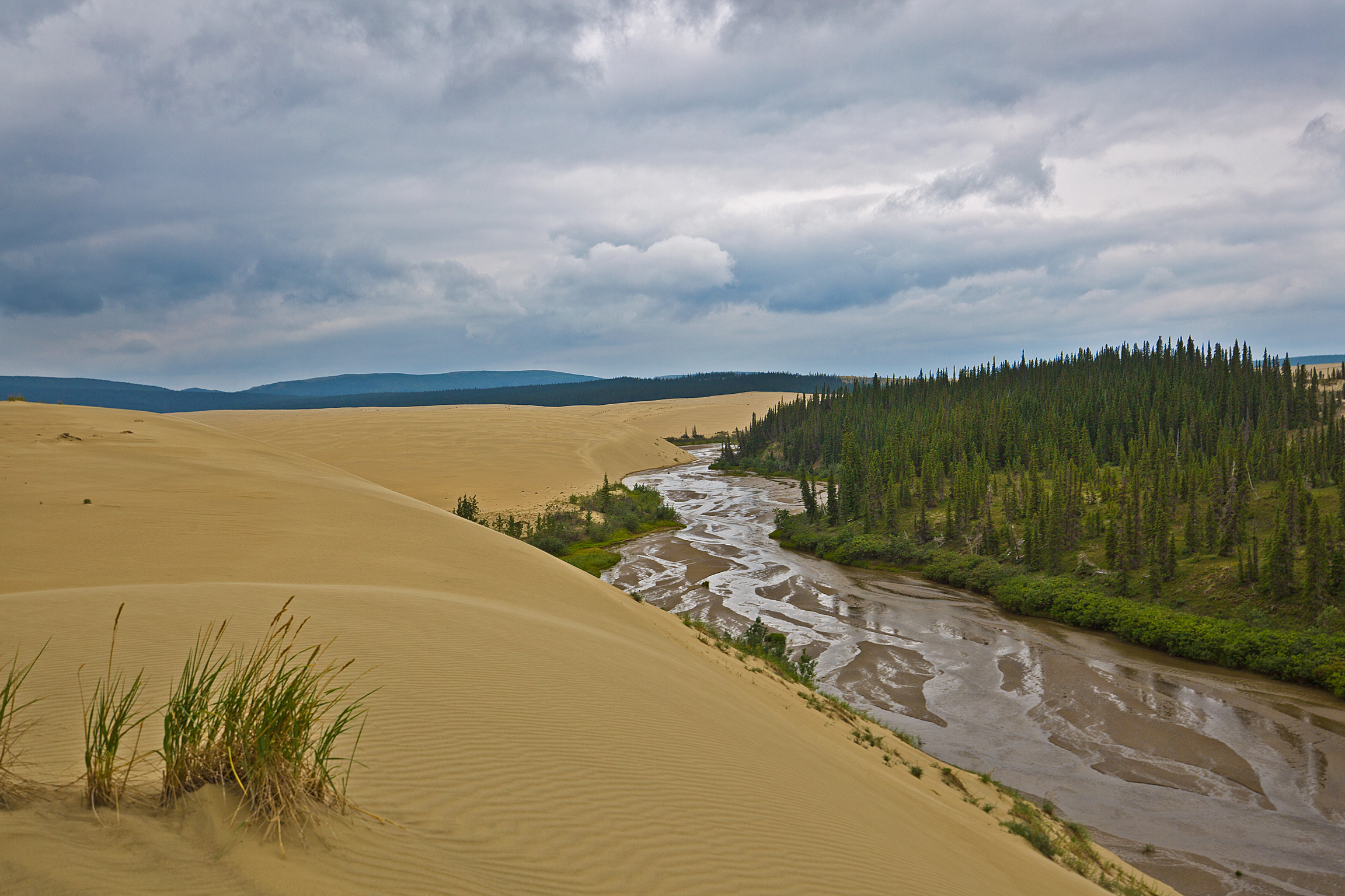 Dunes and Creeks in Kobuk Valley