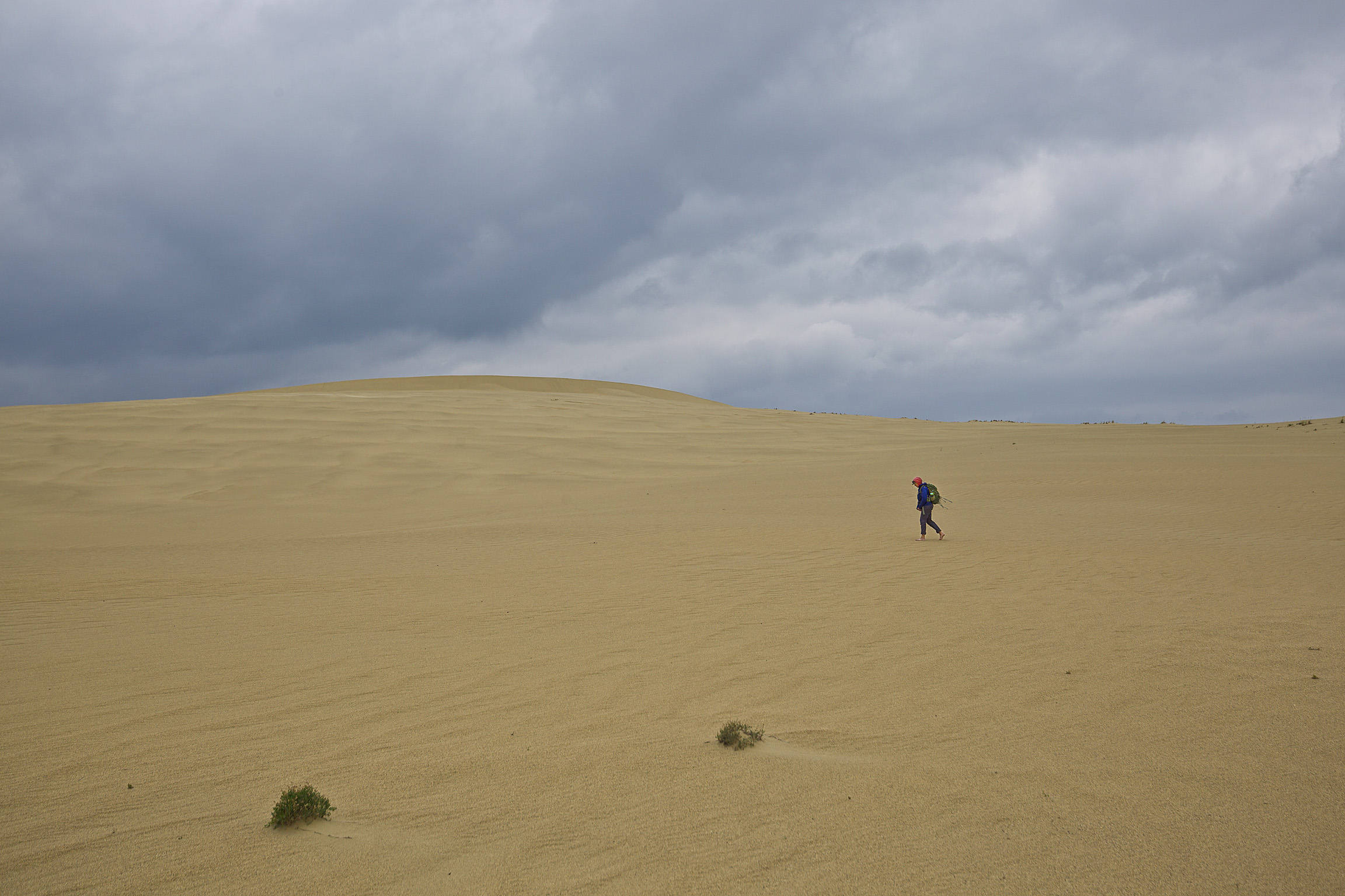 Our Guide Walks Alone