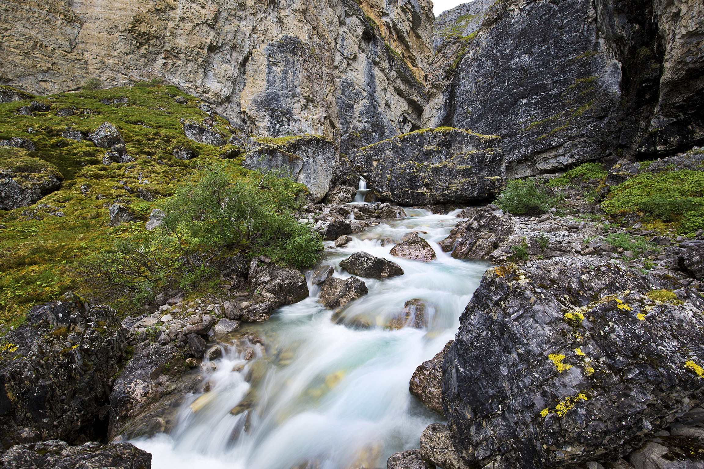 Rivers in Gates of the Arctic