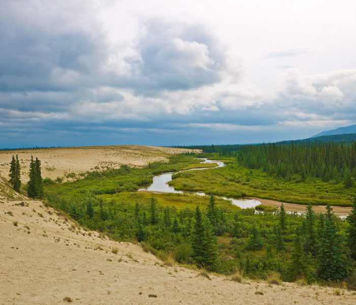 River through the Dunes in Kobuk Valley National Park