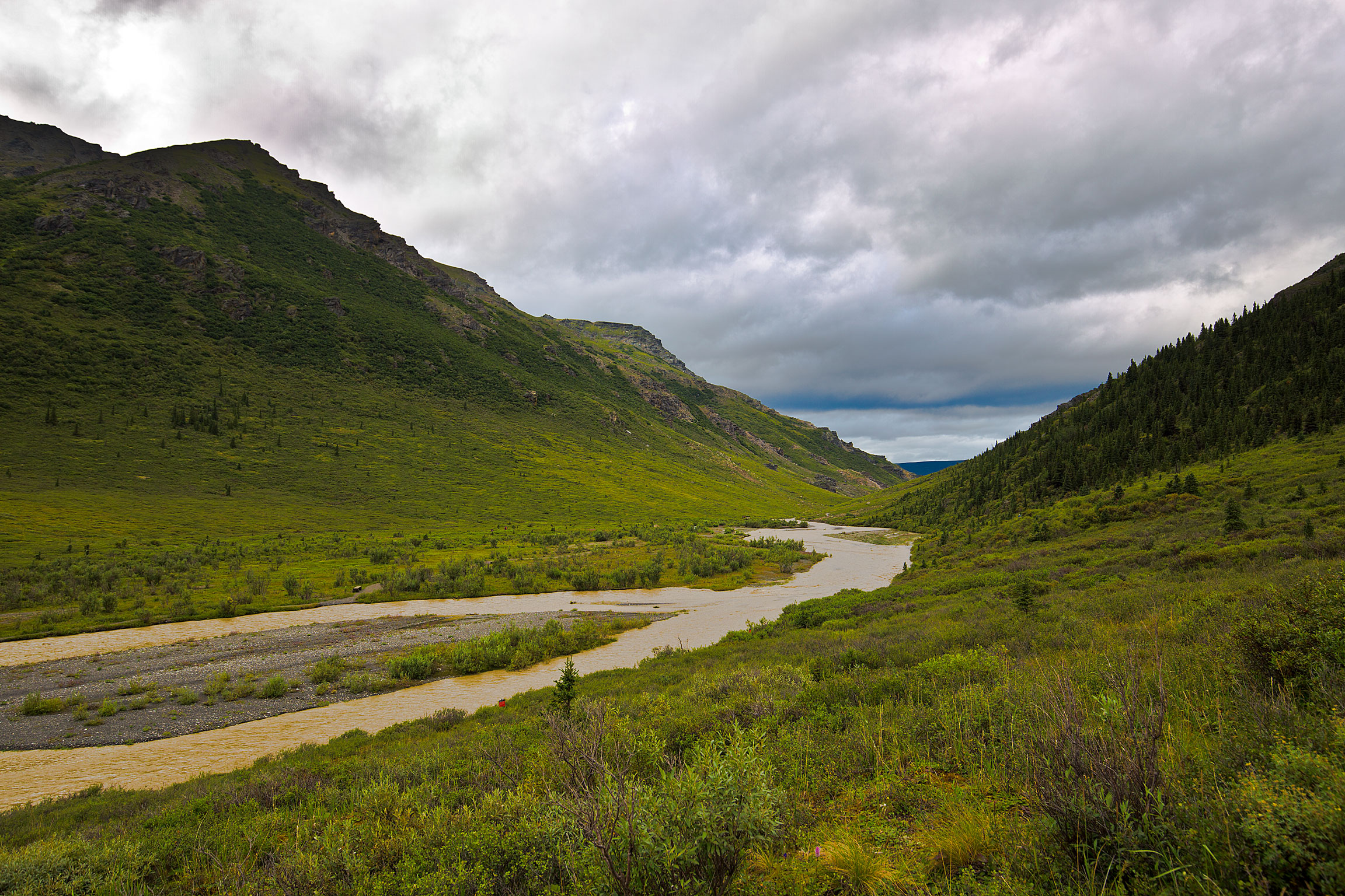 Denali National Park