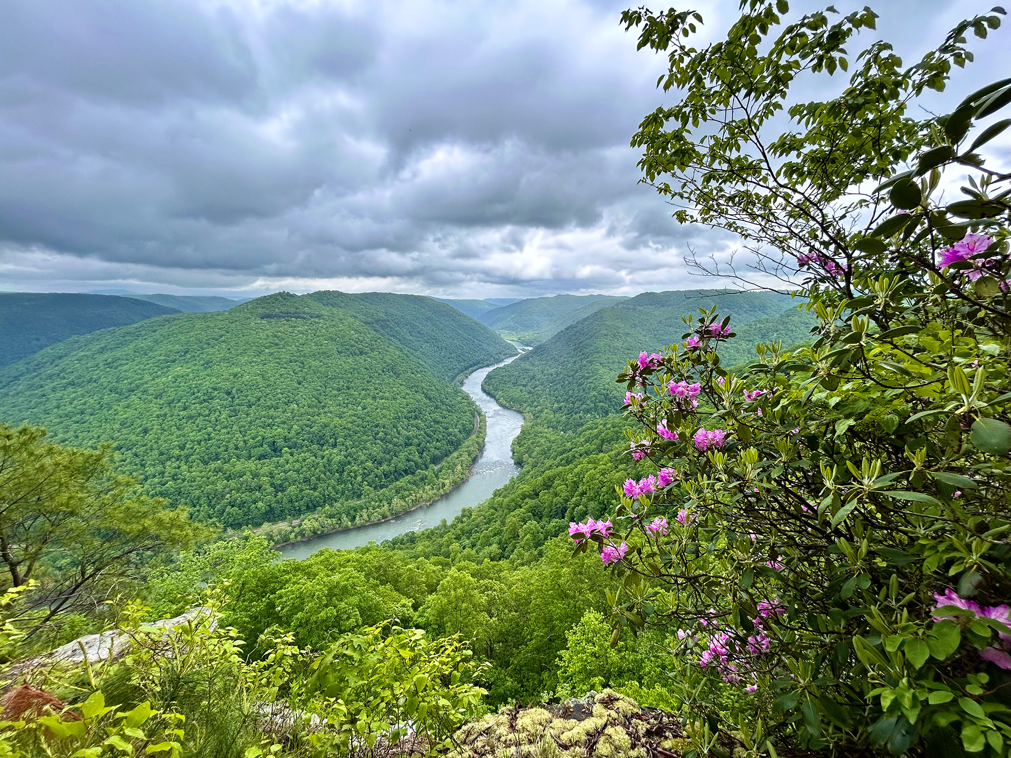 River in the valley